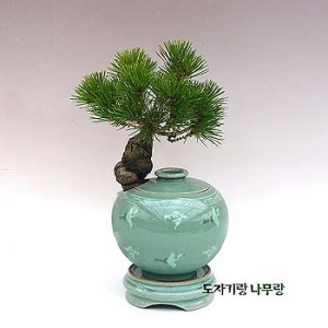 �󼼳��뺸��