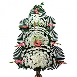 �󼼳��뺸��