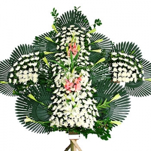 �󼼳��뺸��